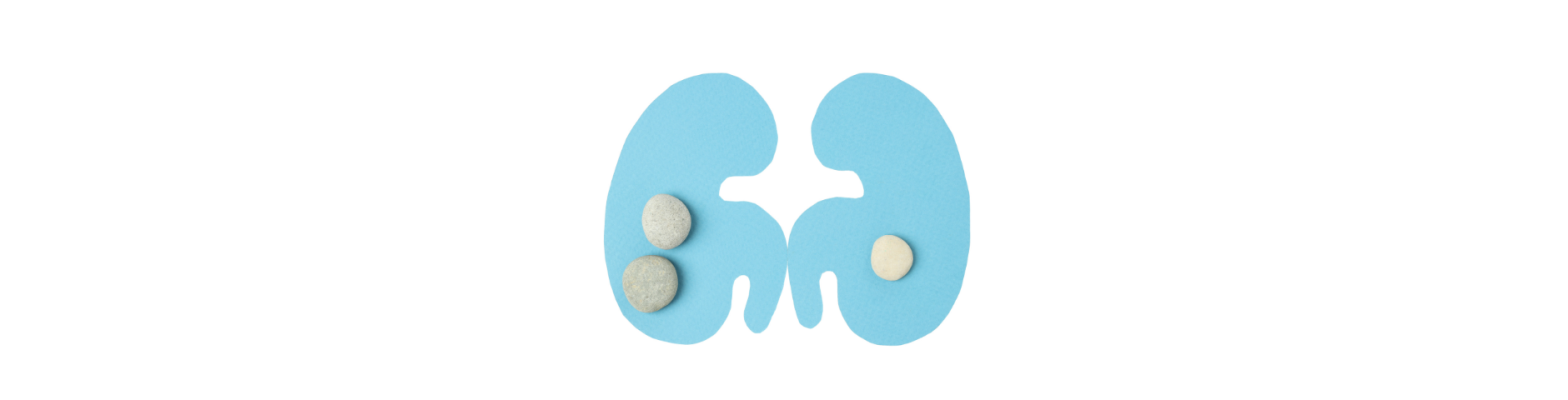 hydration and kidney health How water helps in kidney health